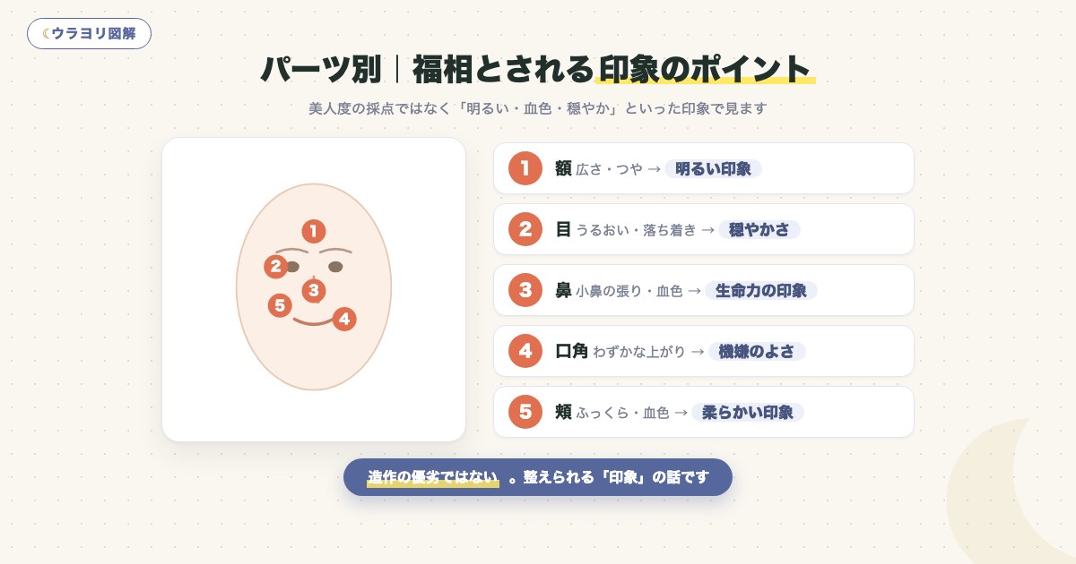 図解:パーツ別|福相とされる印象のポイント