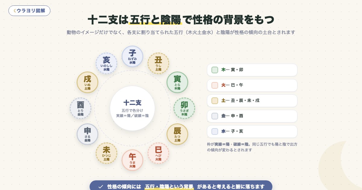 図解:十二支は五行と陰陽で性格の背景をもつ