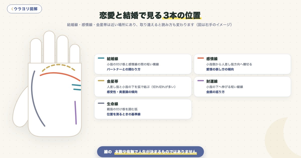 図解:恋愛と結婚で見る3本の位置