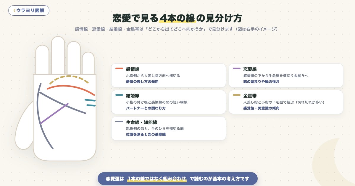 図解:恋愛で見る4本の線の見分け方