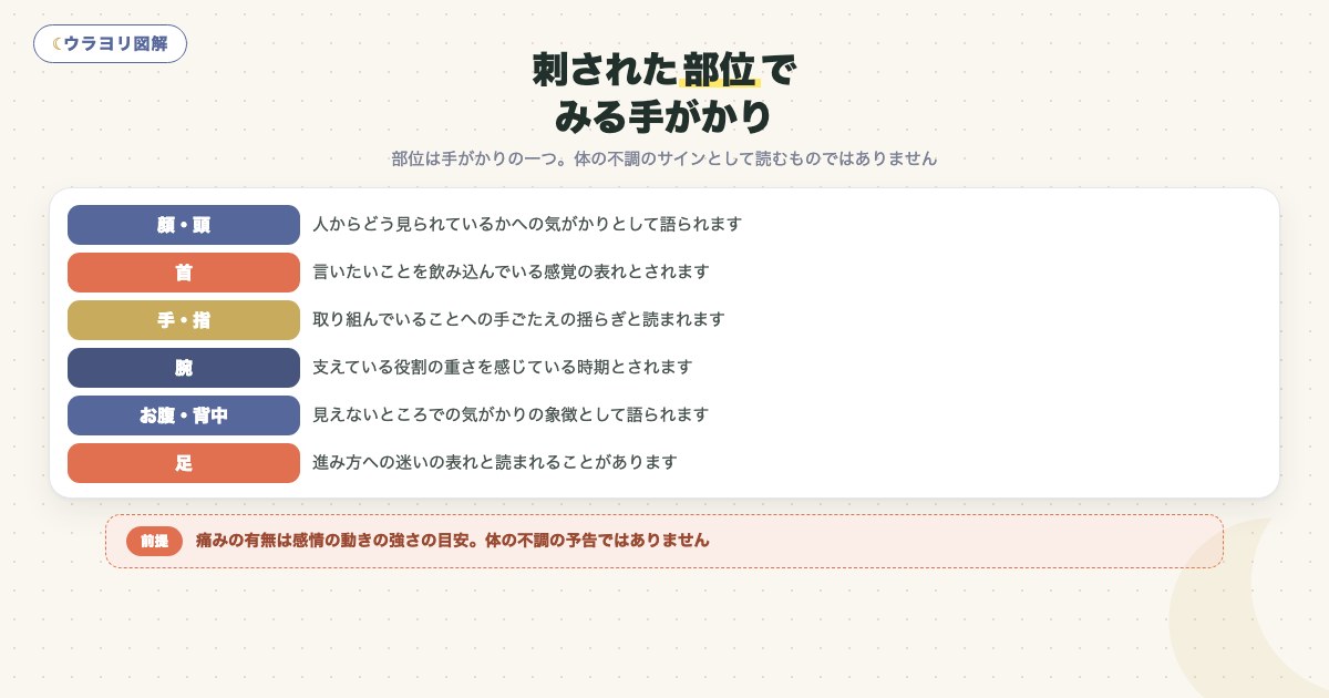 図解:刺された部位でみる手がかり