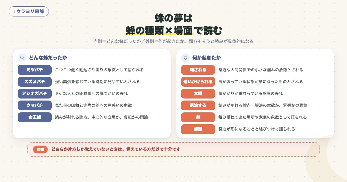 図解:蜂の夢は蜂の種類×場面で読む