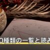 干支60種類の一覧と読み方｜六十干支の仕組みと自分の干支の調べ方