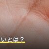 手相占いとは？わかること・料金相場と見てもらえる場所を解説