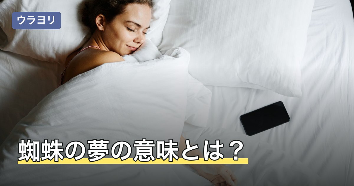 蜘蛛の夢の意味とは？色・大きさ・状況別に夢占いの暗示を解説