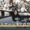 ホワイトセージ浄化のやり方｜手順・頻度・火の扱いを初心者向けに解説