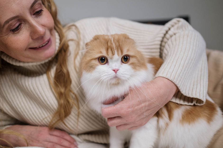 ソファで猫を抱くセーター姿の女性