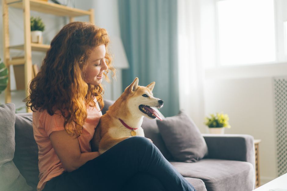 ソファで柴犬とくつろぐ女性