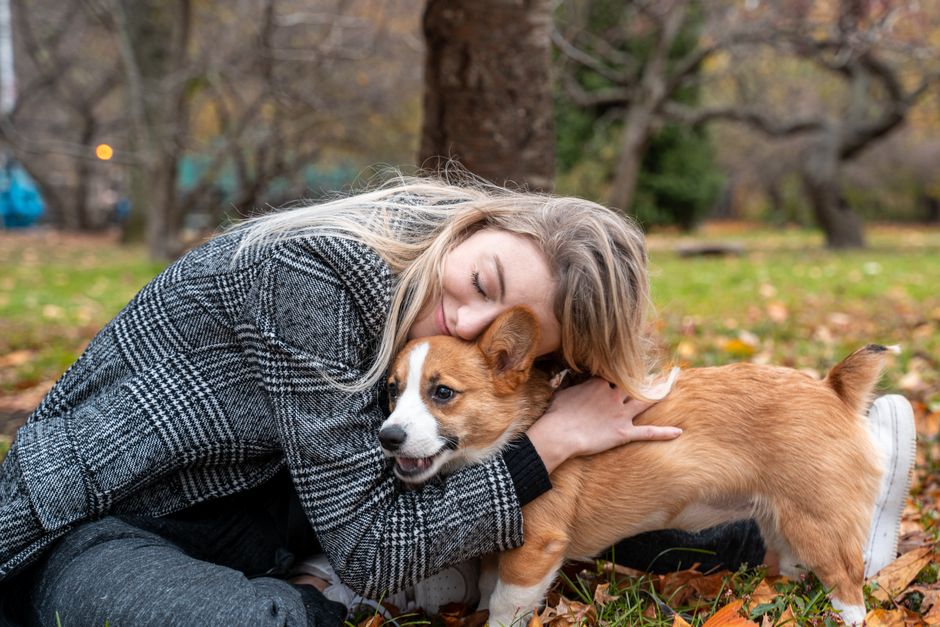 公園で子犬を抱く女性