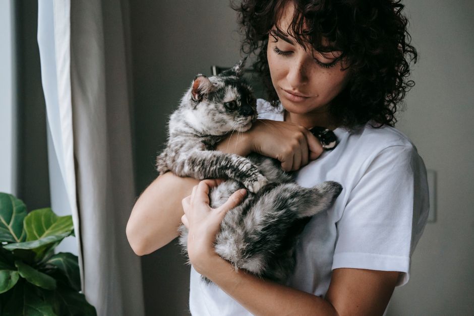 部屋で猫を抱く白いTシャツの女性