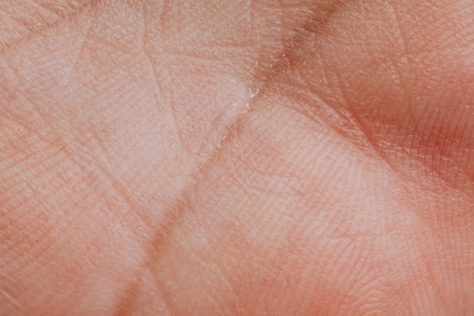 手のひらの中央を斜めに横切る線が目立つクローズアップ