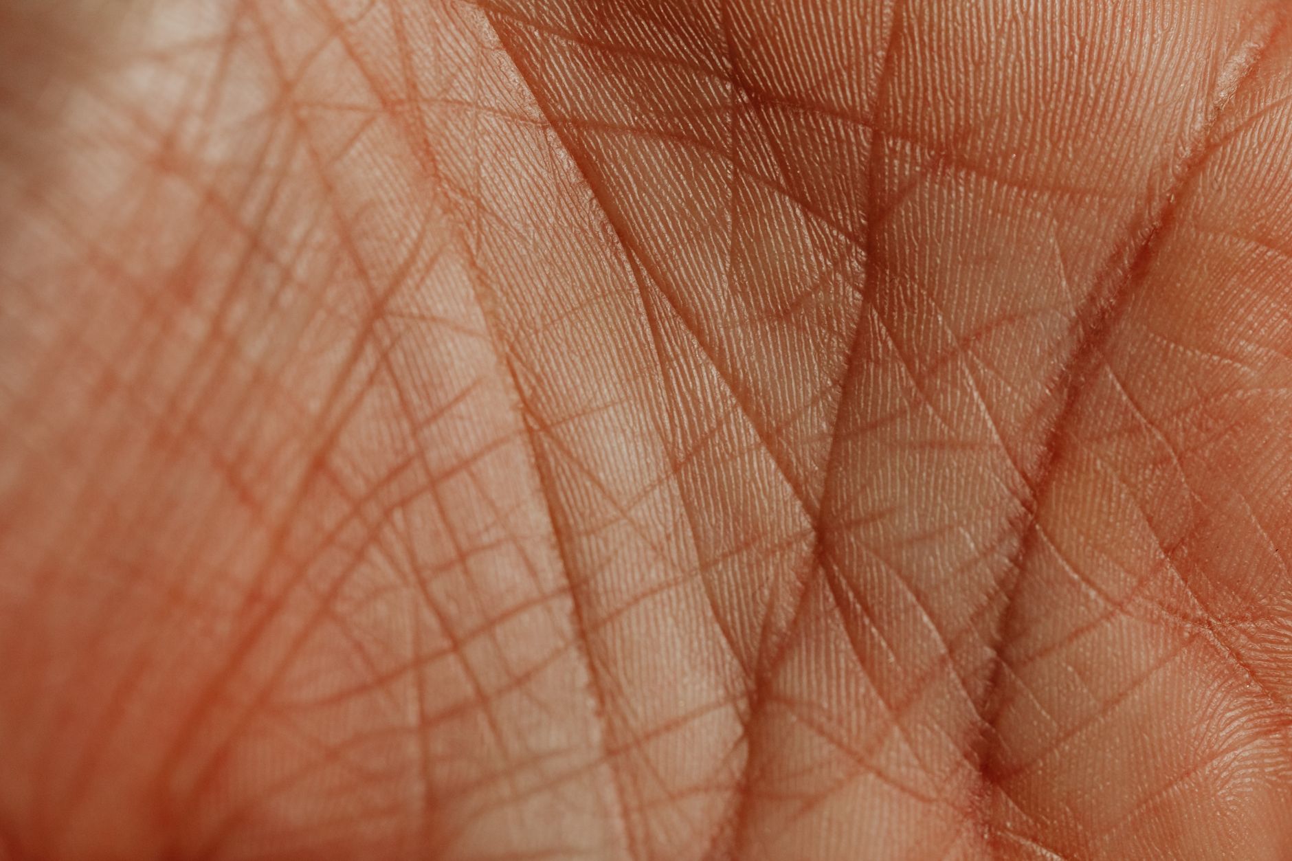 オレンジ色の光に照らされた手のひらのしわのクローズアップ