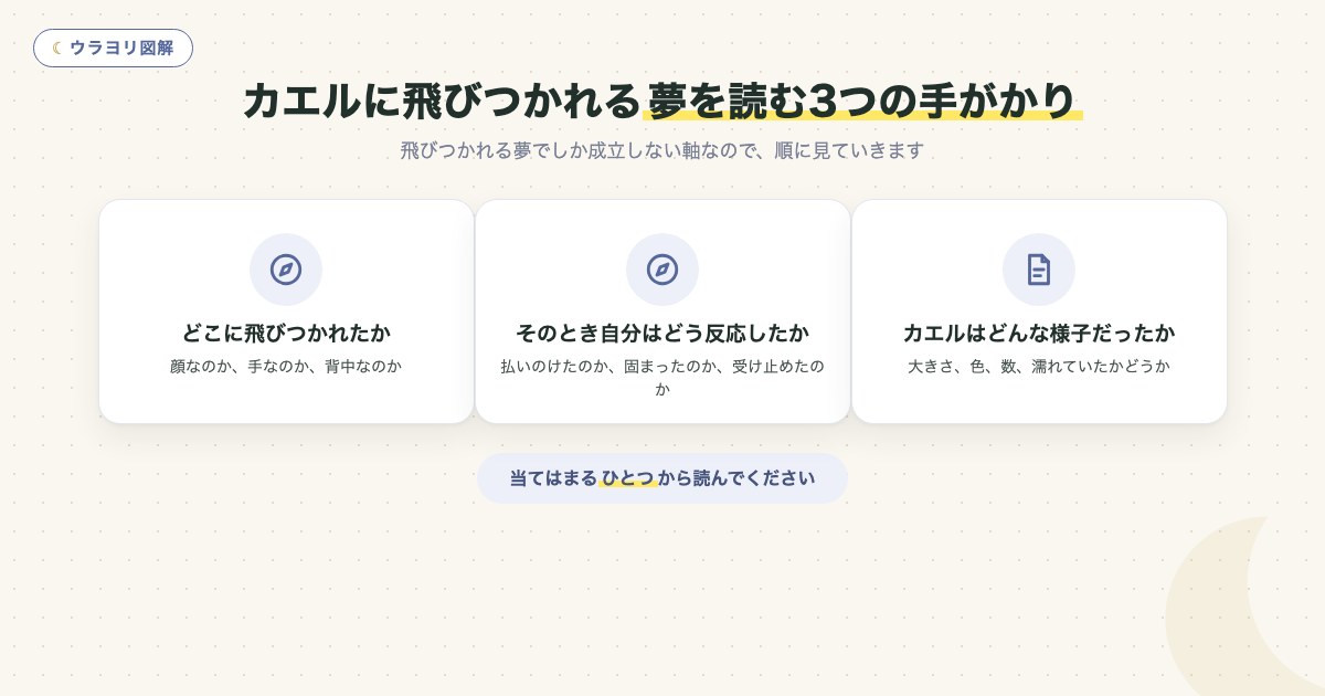図解:カエルに飛びつかれる夢を読む3つの手がかり