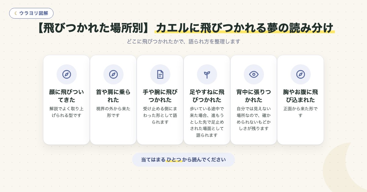 図解:【飛びつかれた場所別】カエルに飛びつかれる夢の読み分け