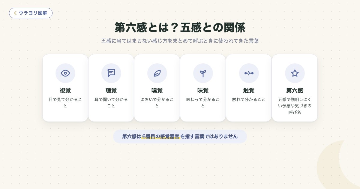 図解:第六感とは?五感との関係