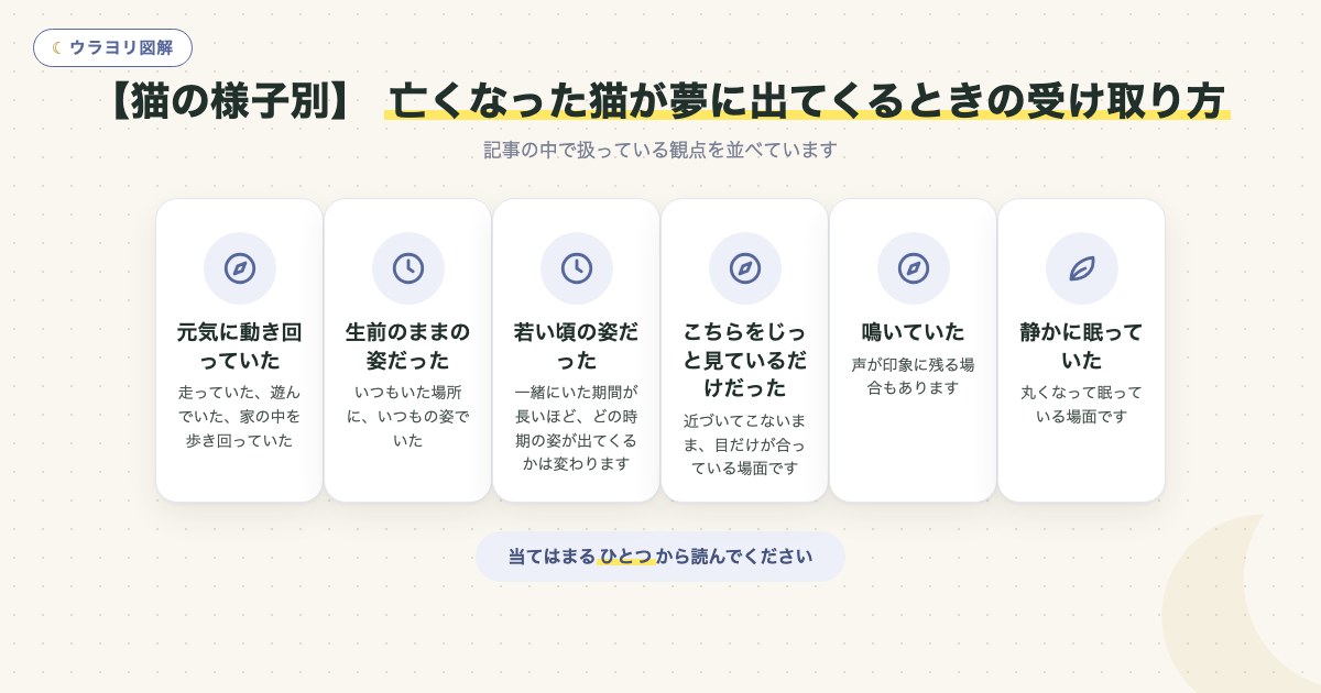 図解：【猫の様子別】 亡くなった猫が夢に出てくるときの受け取り方