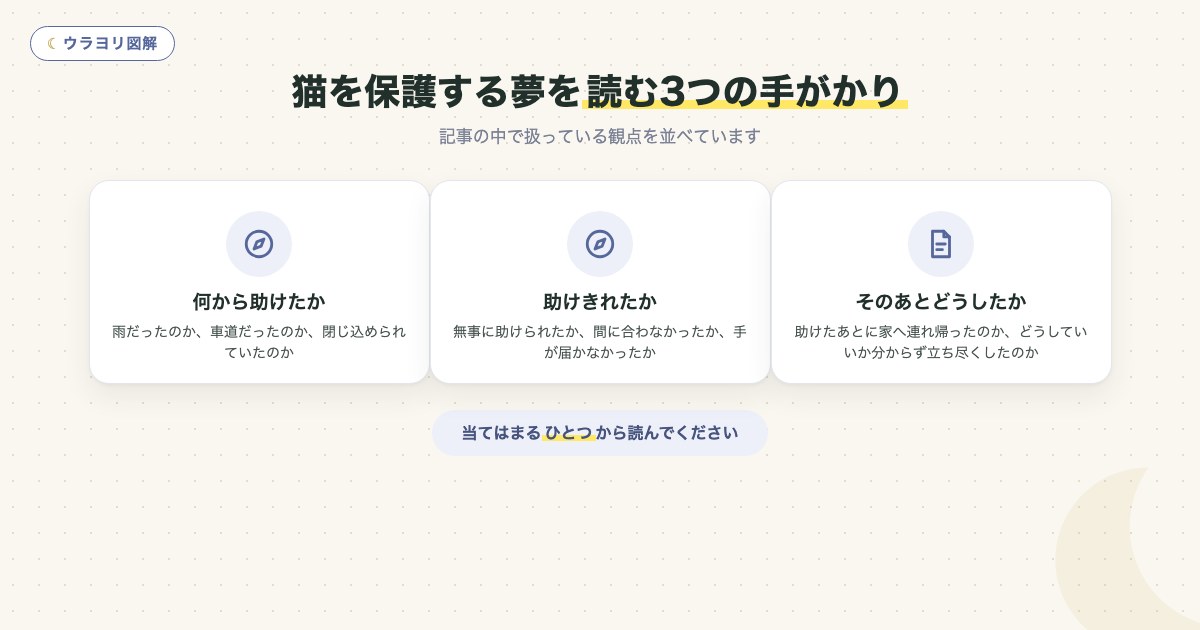図解:猫を保護する夢を読む3つの手がかり