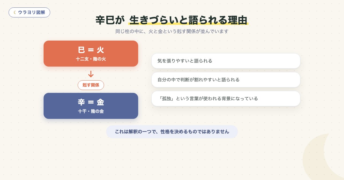 図解:辛巳が 生きづらいと語られる理由