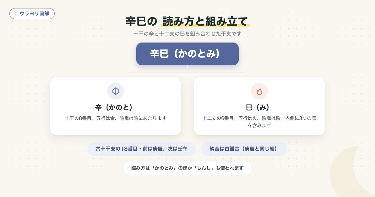 図解:辛巳の 読み方と組み立て