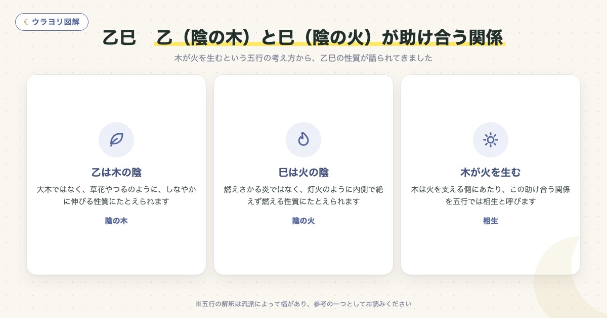 図解:乙巳 乙(陰の木)と巳(陰の火)が助け合う関係
