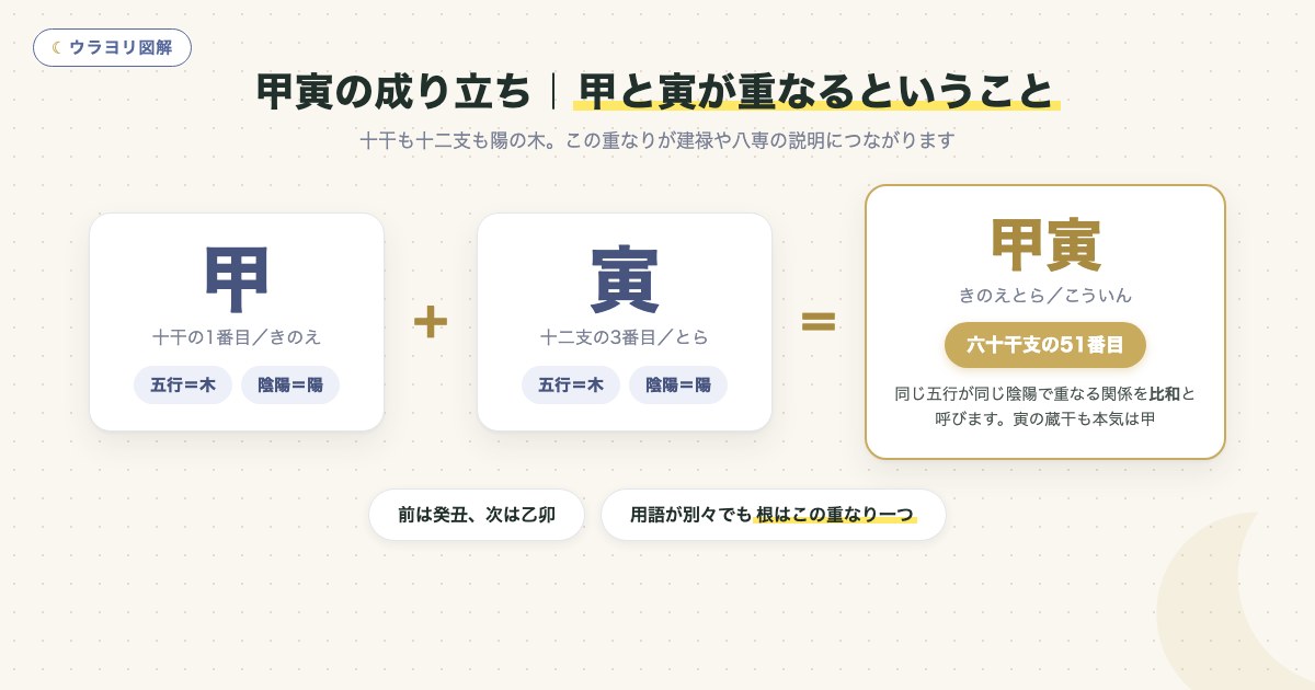 図解:甲寅の成り立ち|甲と寅が重なるということ