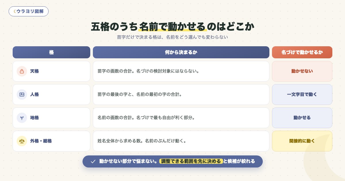 図解:五格のうち名前で動かせるのはどこか
