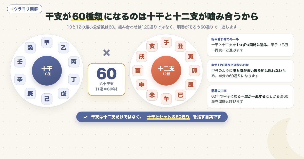 図解:干支が60種類になるのは十干と十二支が噛み合うから