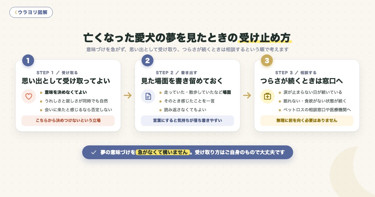 図解:亡くなった愛犬の夢を見たときの受け止め方