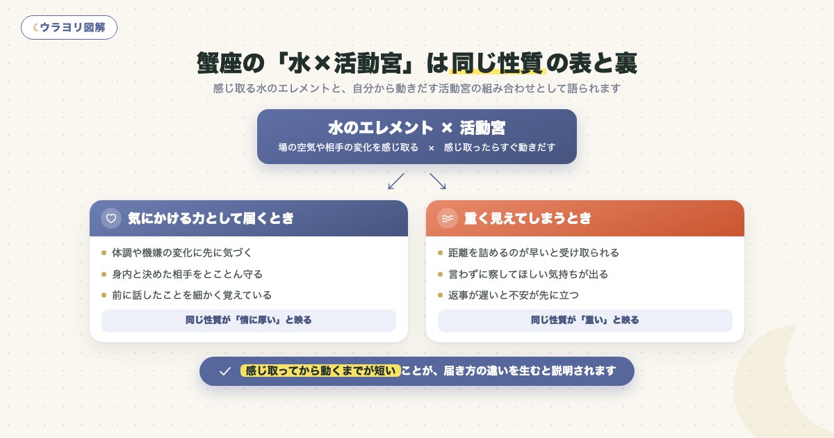 図解:蟹座の「水×活動宮」は同じ性質の表と裏