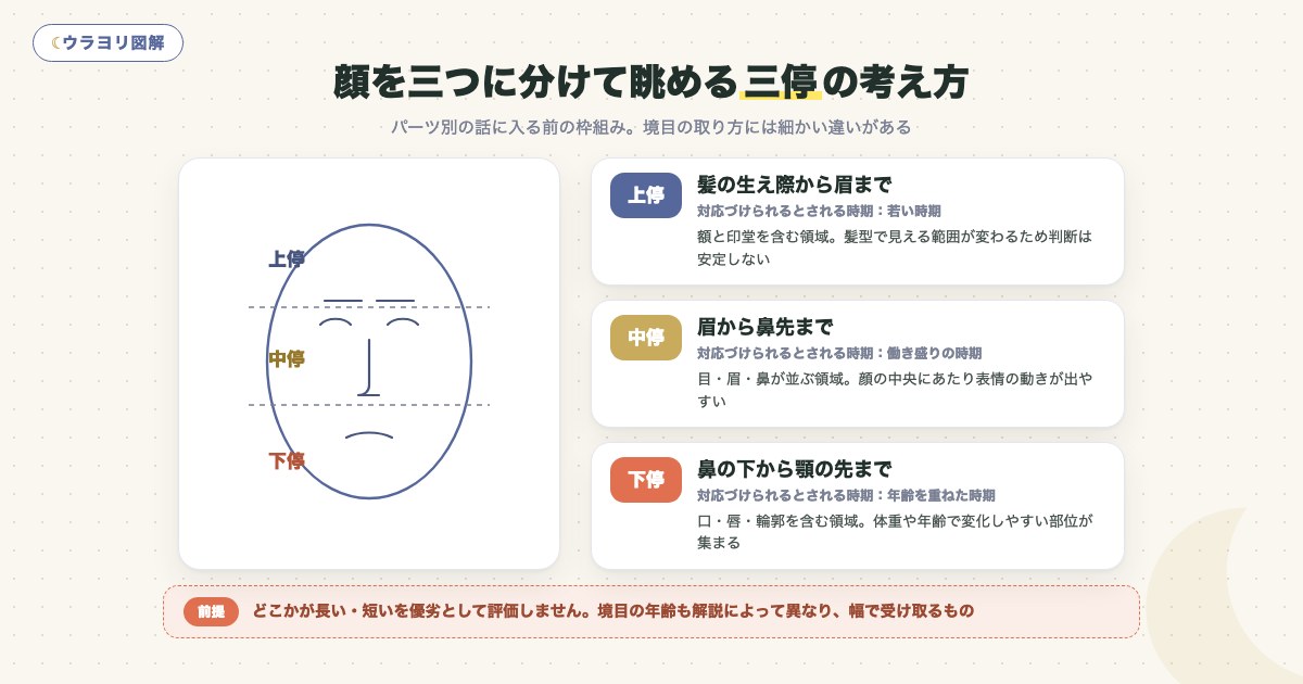 図解:顔を三つに分けて眺める三停の考え方