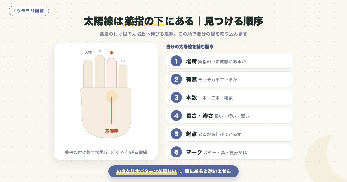図解:太陽線は薬指の下にある|見つける順序