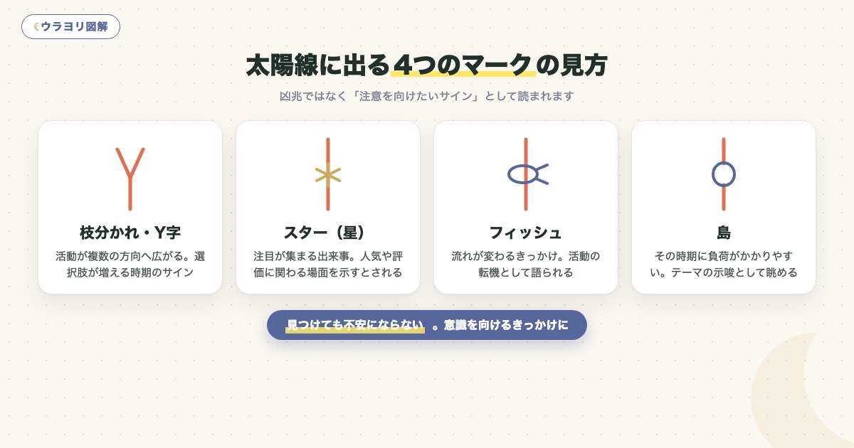 図解:太陽線に出る4つのマークの見方