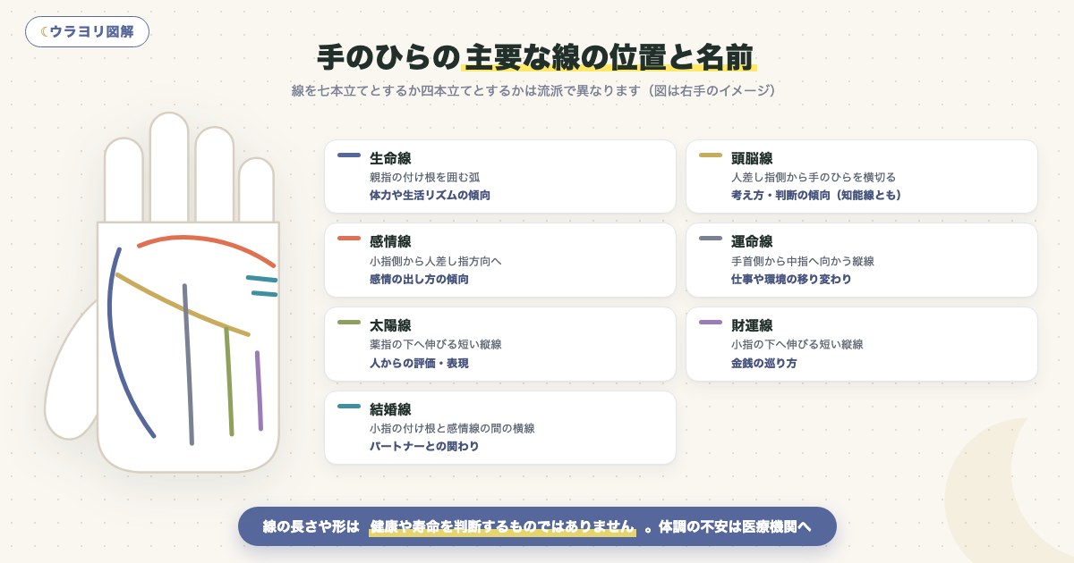 図解:手のひらの主要な線の位置と名前