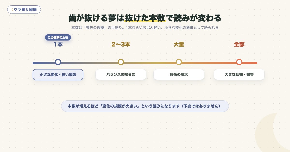 図解:歯が抜ける夢は抜けた本数で読みが変わる