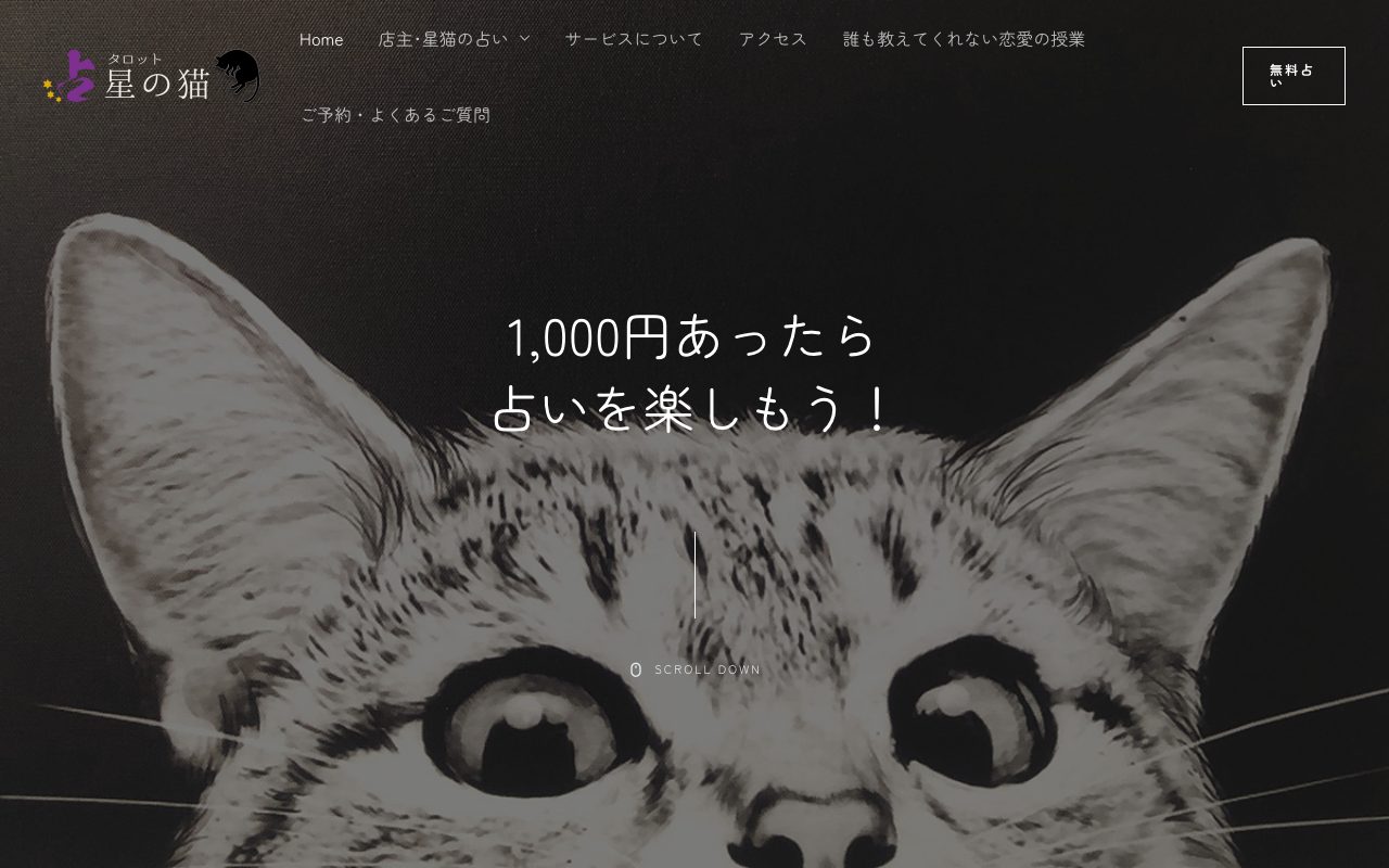 タロット 星の猫公式サイトのトップページ