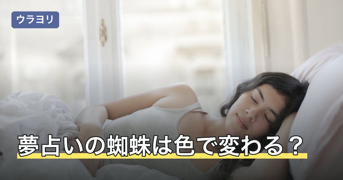 夢占いの蜘蛛は色で変わる？黒・白・茶色など色と大きさ別の意味