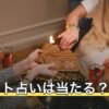 タロット占いは当たる？何をもって当たったと感じるのかを分解