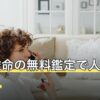 四柱推命の無料鑑定で人気なのは？出せる項目とツールの選び方
