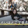今日の占いはどこで見る？配信元・占い方の違いと選び方を解説
