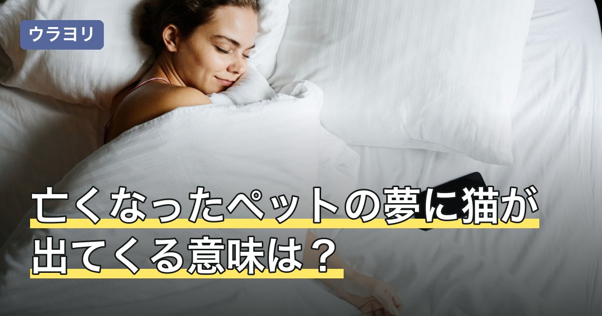 亡くなったペットの夢に猫が出てくる意味は？様子別の受け止め方