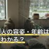 運命の人の容姿・年齢は無料占いでわかる？結果の作られ方と使い方