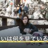 天職占いは何を見ている？適職との違いと結果を仕事に落とす手順