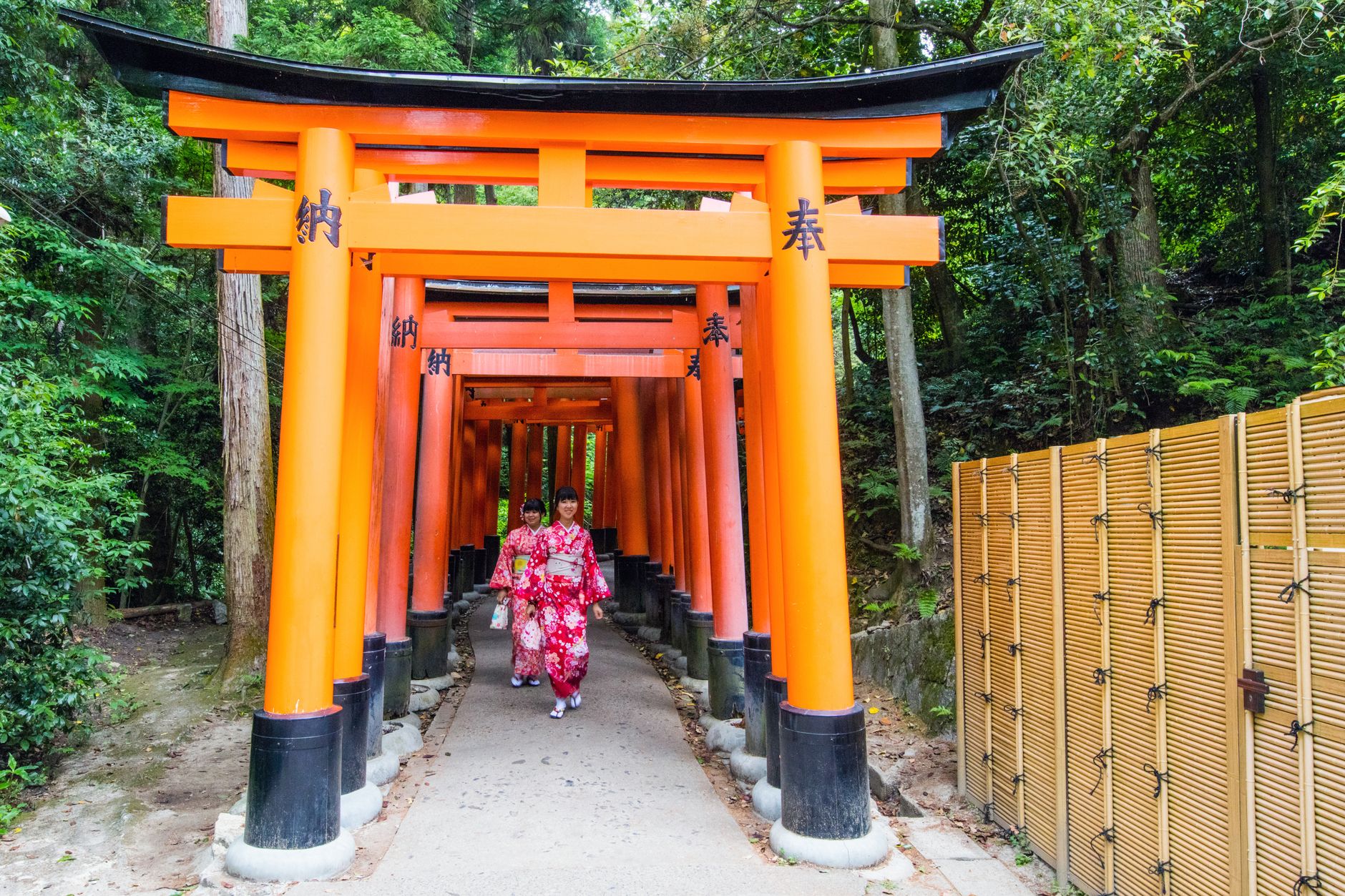 朱色の鳥居が続く参道を歩く着物姿の二人連れ