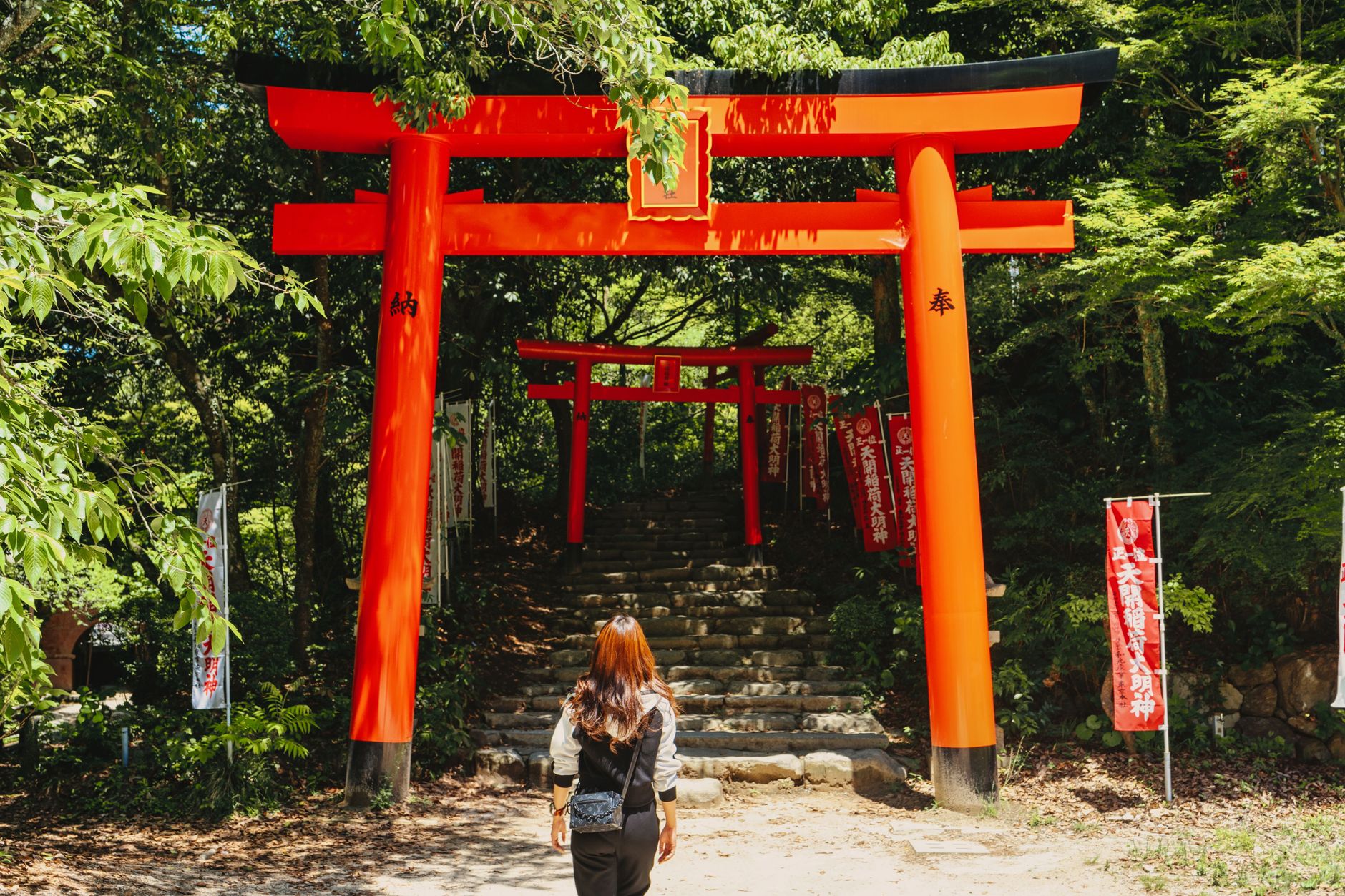 のぼりが並ぶ稲荷神社の大鳥居へ向かって歩く女性の後ろ姿